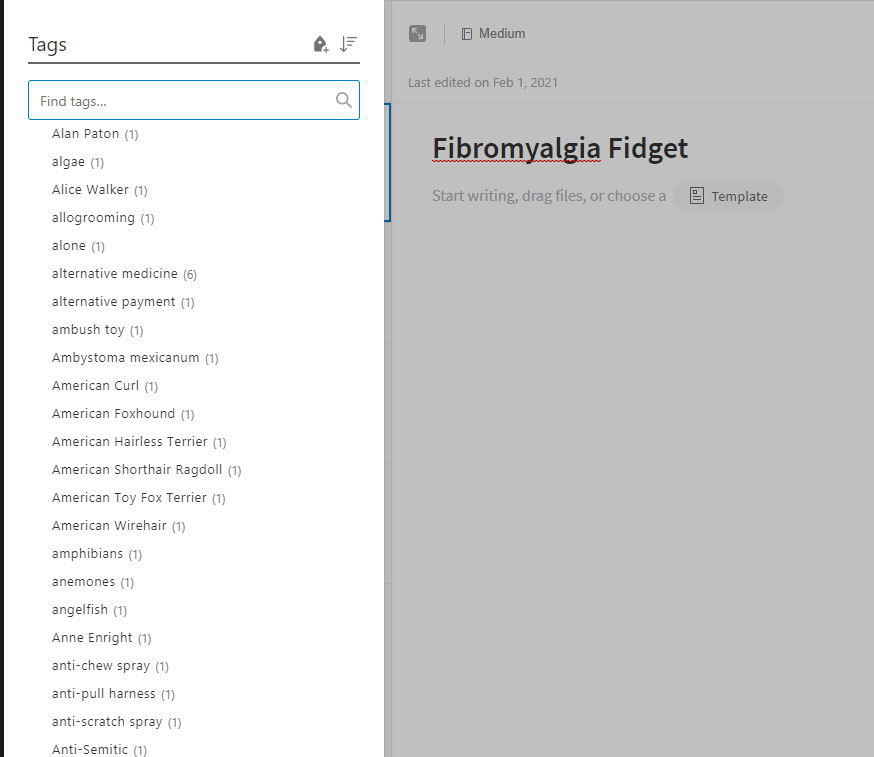 Screen capture of Evernote tag list