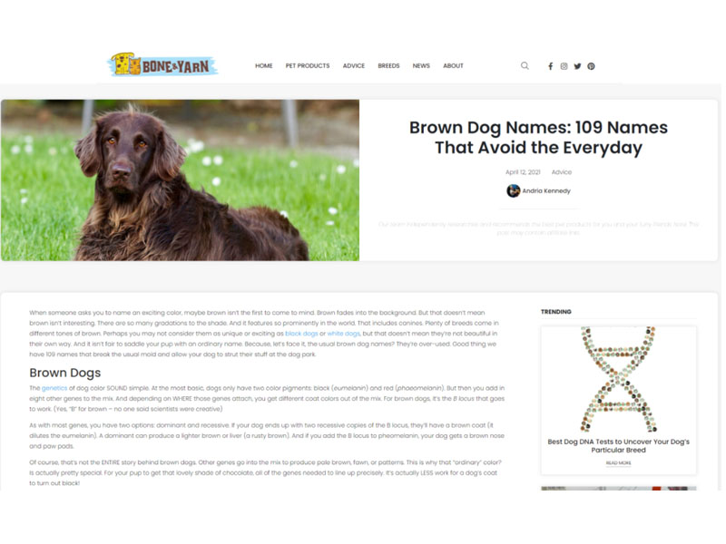 Bone & Yarn: Brown Dog Names Screen Shot