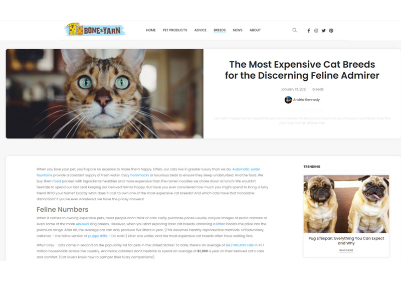 Bone & Yarn: Expensive Cat Breeds Screen Shot