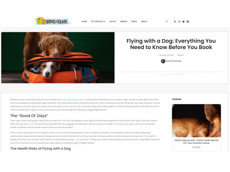 Bone & Yarn: Flying With a Dog Screen Shot