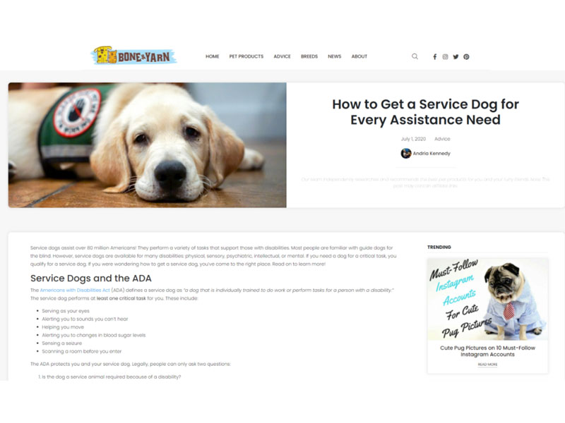 Bone & Yarn: Get Service Dog Screen Shot