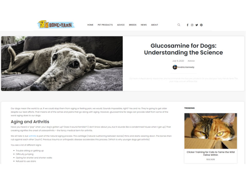 Bone & Yarn: Glucosamine for Dogs Screen Shot