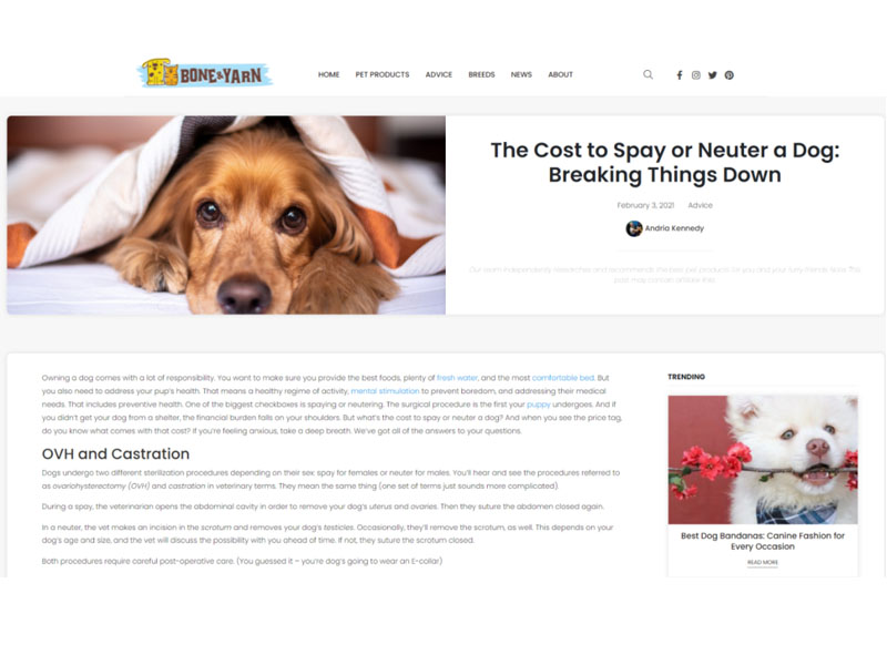 Bone & Yarn: Dog Spay/Neuter Costs Screen Shot