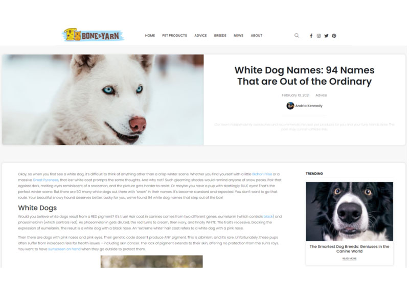 Bone & Yarn: White Dog Names Screen Shot