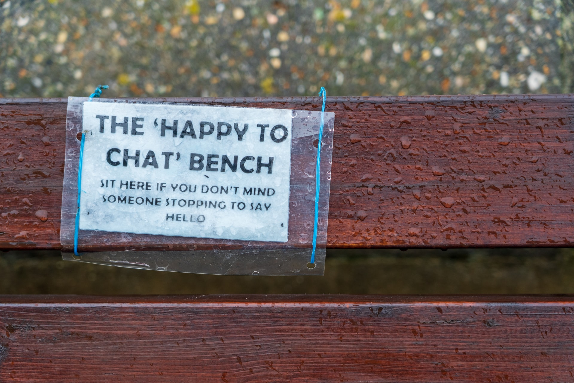 Chat Bench: Designed to Provoke Conversations