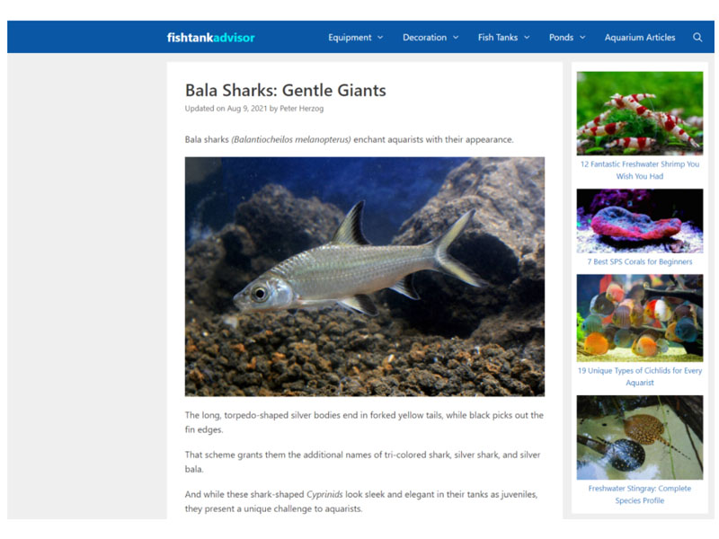 Fish Tank Advisor: Bala Shark Screen Shot