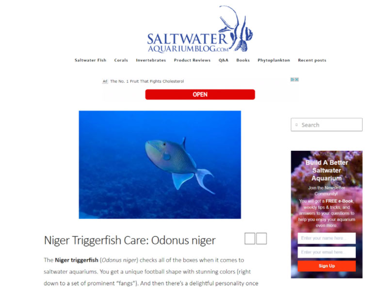 Saltwater Aquarium Blog: Niger Triggerfish Screen Shot