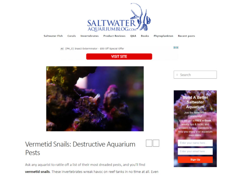 Saltwater Aquarium Blog: Vermetid Snail Screen Shot