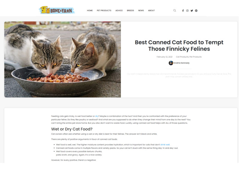 Bone & Yarn: Canned Cat Food Screen Shot