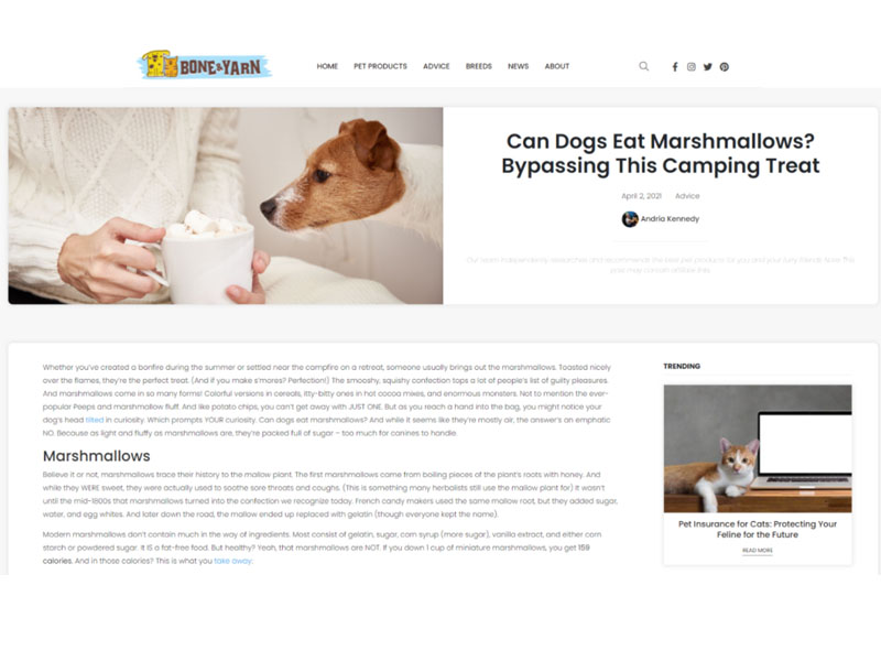 Bone & Yarn: Dogs Eat Marshmallows Screen Shot