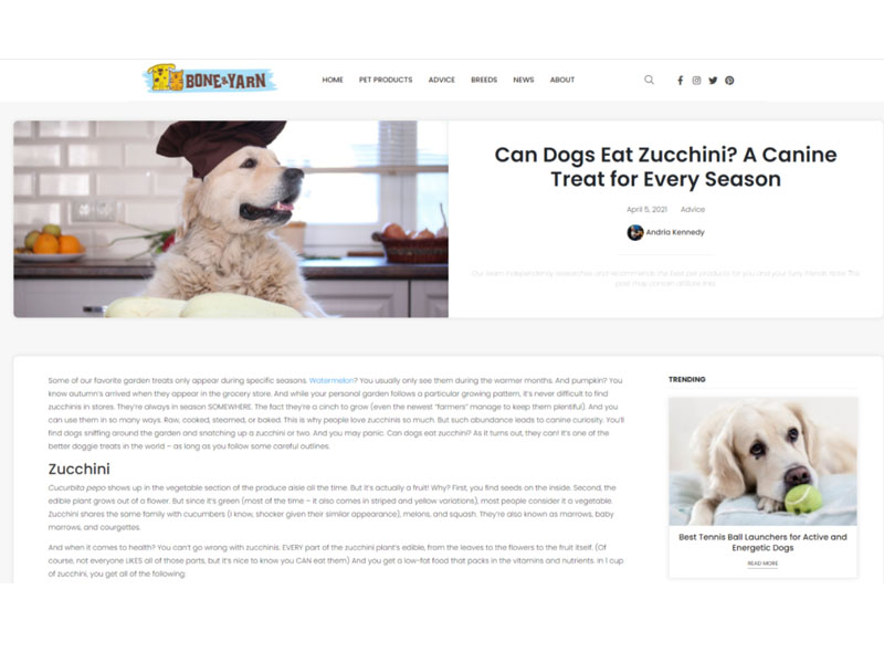 Bone & Yarn: Dogs Eat Zucchini Screen Shot