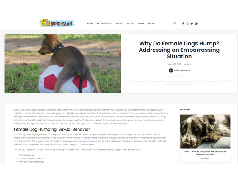 Bone & Yarn: Female Dogs Hump Screen Shot