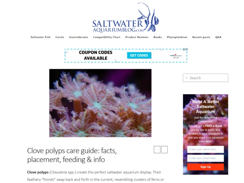 Saltwater Aquarium Blog: Clove Polyps Screen Shot