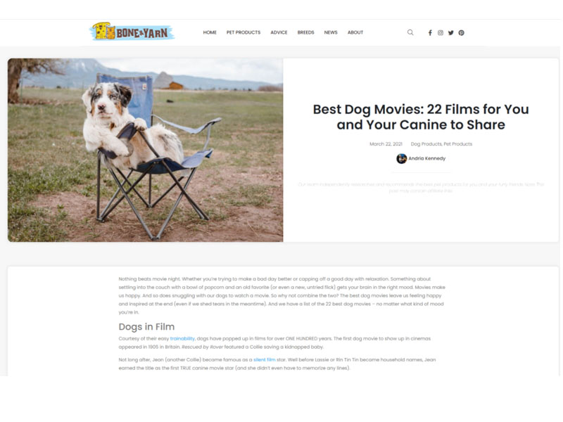 Bone & Yarn: Dog Movies Screenshot