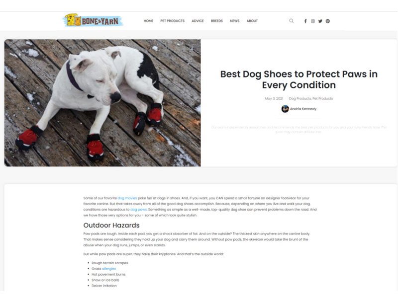 Bone & Yarn: Dog Shoes Screenshot