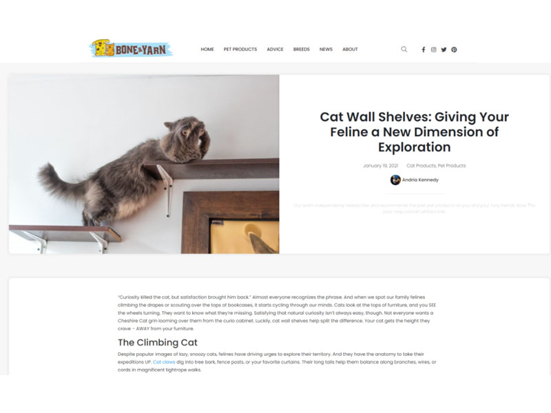 Bone & Yarn: Cat Wall Shelves Screenshot