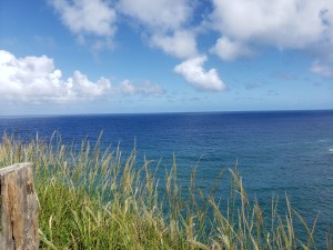 The Hawaii writing retreat offered spectacular views that were definitely inspirational